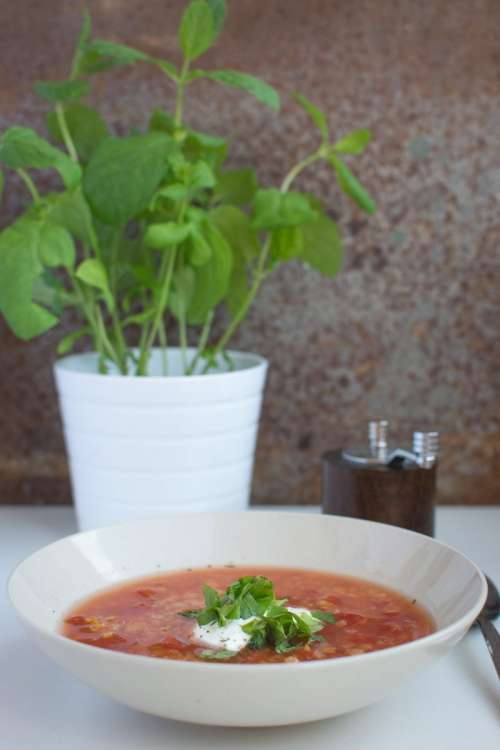 Red lentils soup with tomatoes, sour cream and mint