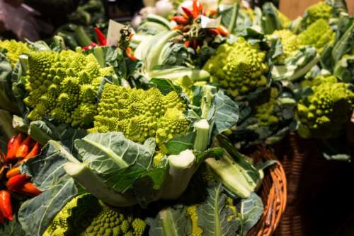 Romanesco broccoli in a grocery store