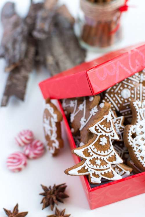 Traditional Christmas gingerbreads in a red paper box