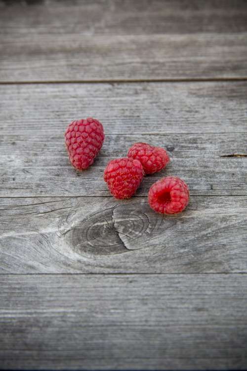My homegrown organic raspberries