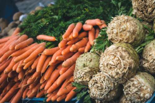 Vegetables at farmers market