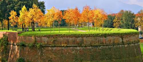 Autumn atop bastions in Lucca, Italy free photo