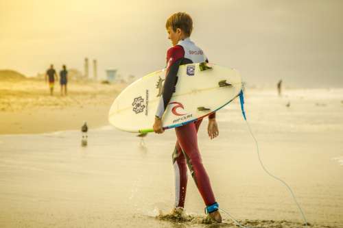 Boy Surfer heading to shore free photo