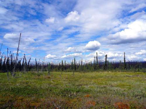 Campbell Highway Landscape under the skies in Yukon Territory, Canada free photo