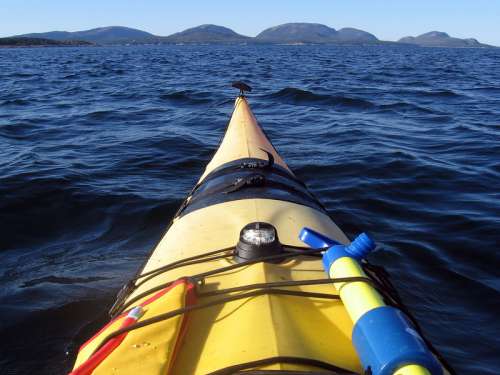 Canoeing on the waters of Acadia National Park, Maine free photo