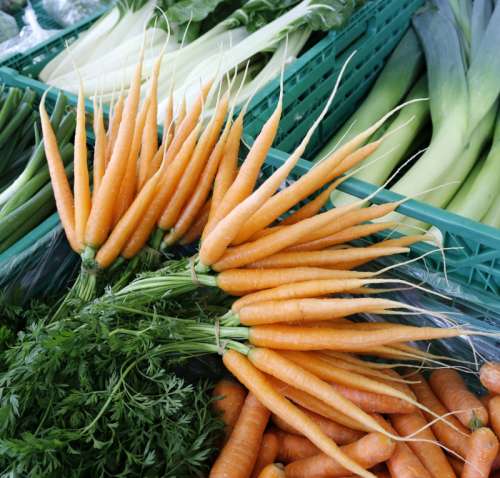 Carrots vegetables free photo