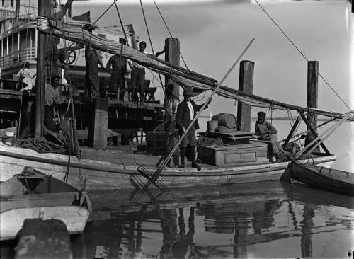 Child labor used to harvest oysters, 1909 in Apalachicola, Florida free photo