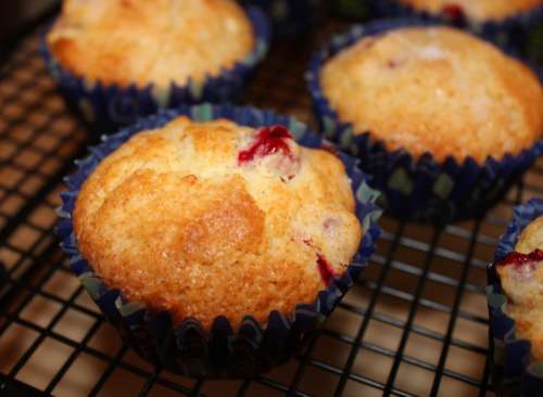 Cranberry Muffins Pastery free photo