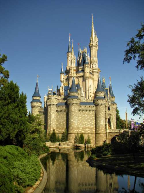Disney Castle at the Magic Kingdom, Orlando, Florida free photo