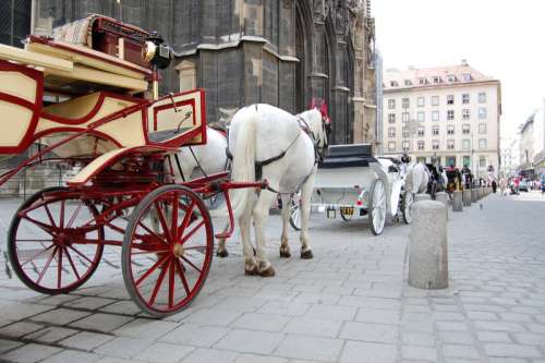 Horse and Carriage in Vienna, Austria free photo