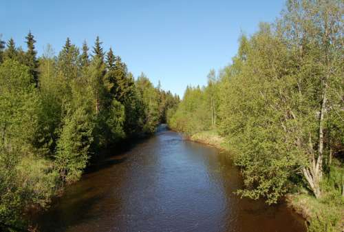 Kalimeenoja creek in Haukipudas, Finland free photo