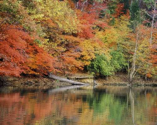 Lake Wylie in autumn with colored leaves in South Carolina free photo