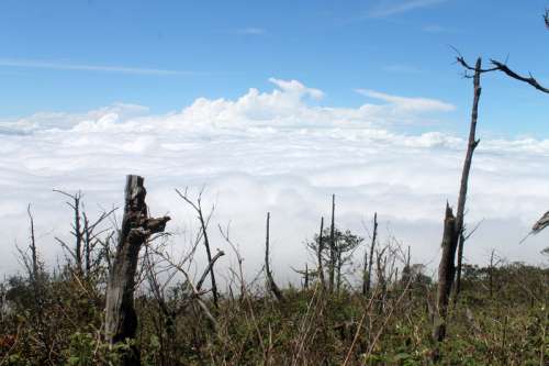 Landscape and a Sea of Clouds in Indonesia free photo