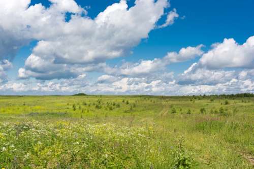 Landscape of the fields under the sky with clouds in Russia free photo