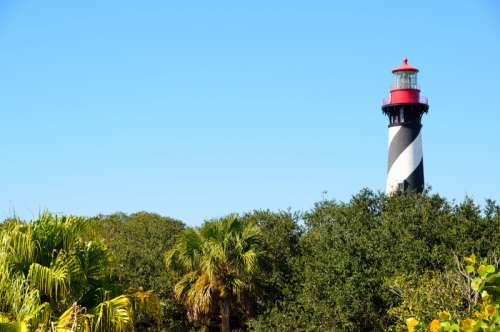 Lighthouse over the trees in St. Augustine, Florida free photo