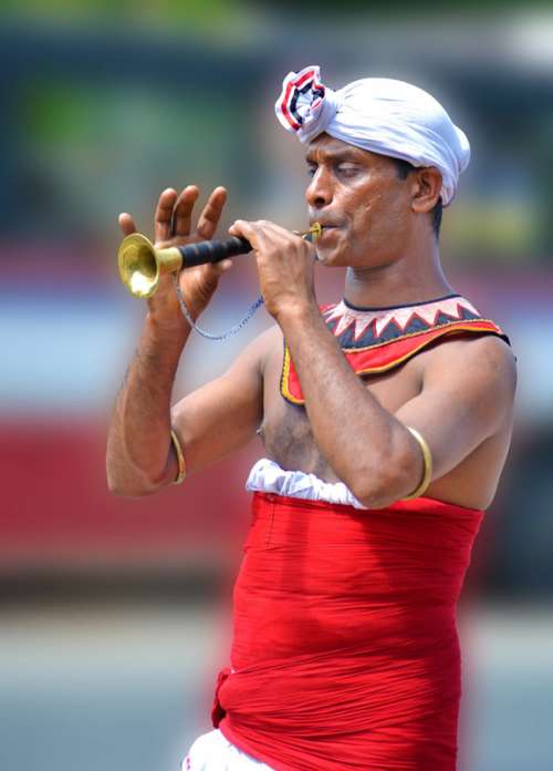 Local Trumpet player in Sri Lanka free photo