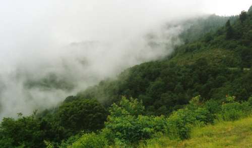 Low Clouds over the Hill at Great Smoky Mountains National Park, Tennessee free photo