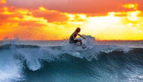 Man surfing a wave at sunset free photo