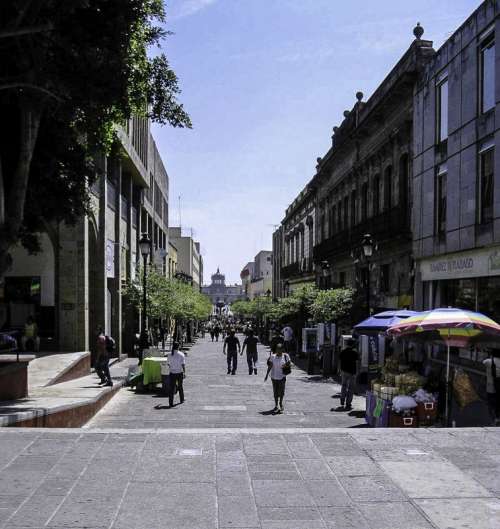 Morelos Street in downtown in Guadalajara, Mexico free photo