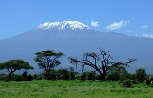 Mount Kilimanjaro landscape rising behind the trees free photo