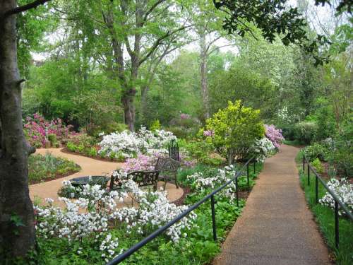 Mynelle Gardens in Jackson, Mississippi free photo