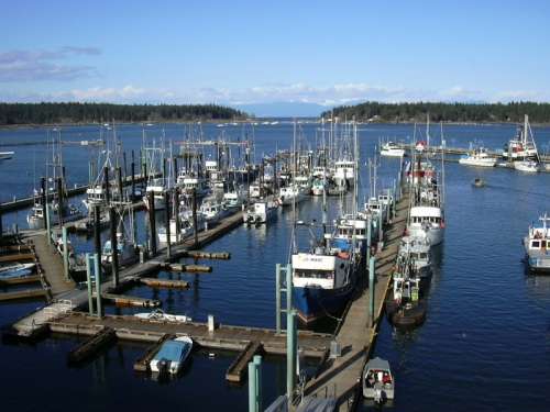 Nanaimo Harbour with ships in British Columbia, Canada free photo