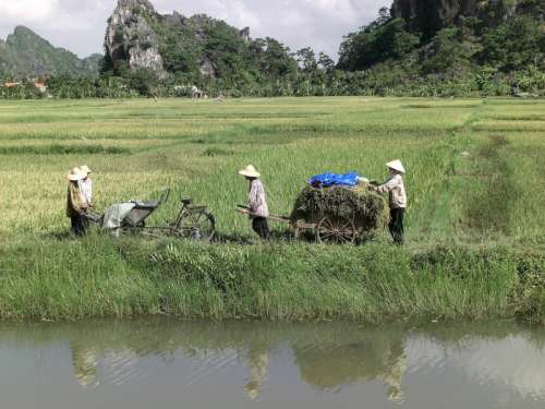 Farmers in Ninh Bình Province in Vietnam free photo