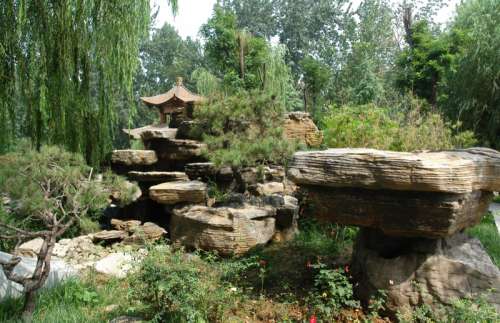Rocks and Trees in a park in Jinan, Shangdong, China free photo