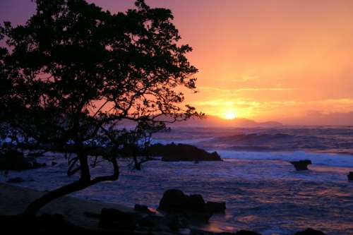 Sunset landscape with big waves in Puerto Rico free photo