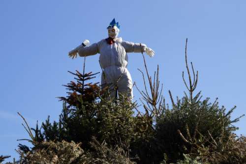 The Scarecrow in Nova Scotia, Canada free photo