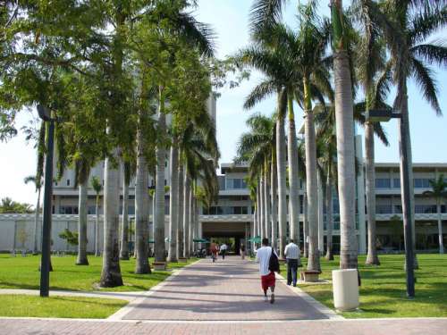 University of Miami in Coral Gables, Florida free photo