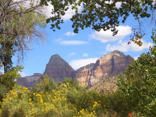View of Zion Canyon in Zion National Park, Utah free photo