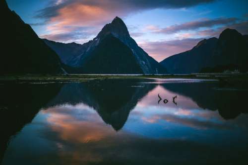 Waters and landscape of Milford Sound, New Zealand free photo