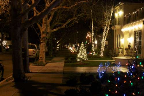 Willow Glen Christmas Lights in San Jose, California free photo