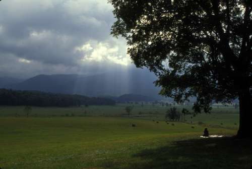  Women sitting under tree under heavy clouds in Great Smoky Mountains National Park, Tennessee free photo