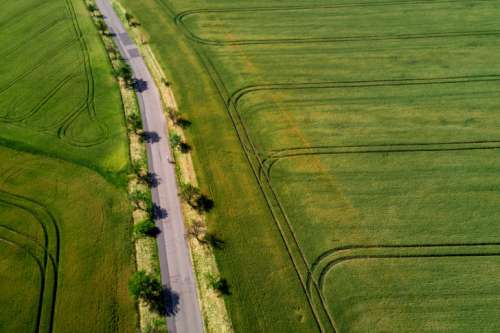 Road, trees and fields from the top