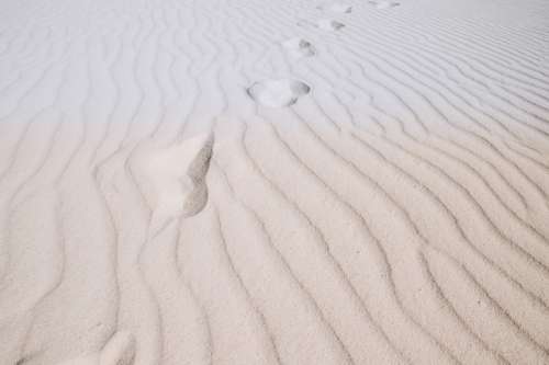 Traces in the sand of desert