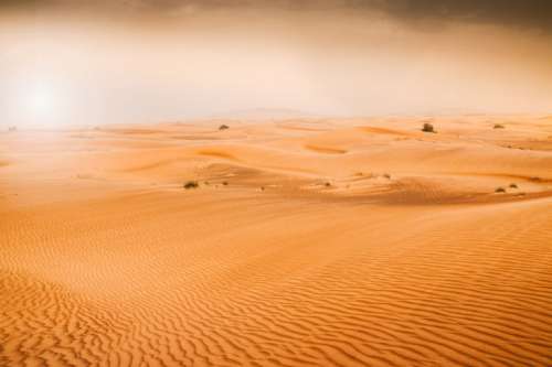 Desert dunes of Emirates
