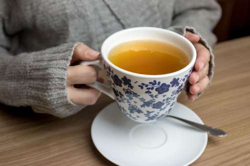 Female hands holding hot cup of tea