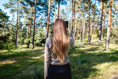 Beauty brunette girl make photo with her smartphone in the forest