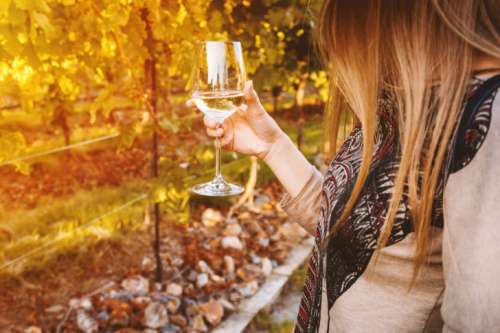 Young woman holding glass of white wine on the vineyard