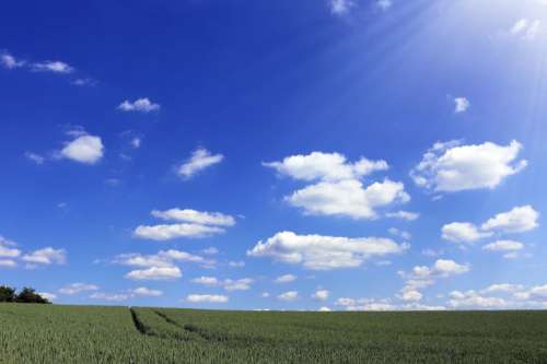 Beautiful landscape with blue sky and green field in summer