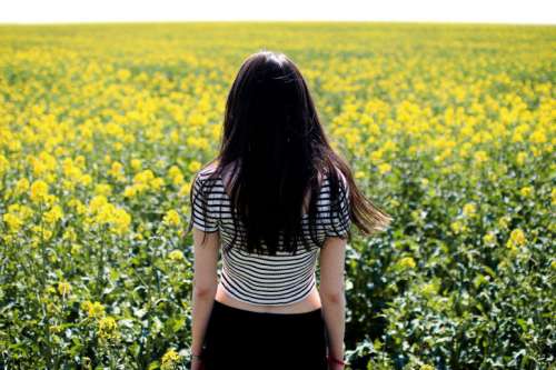 Young beautiful girl standing in a field on a sunny day