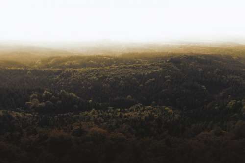 Autumn landscape with fog in the mountains.