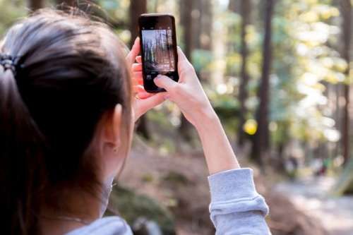 A young brunette in a forest takes a photo on their smartphone