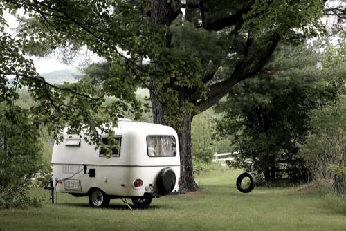 Camping by the Tree