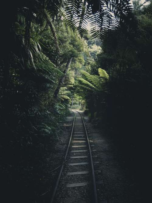 Forest Railway