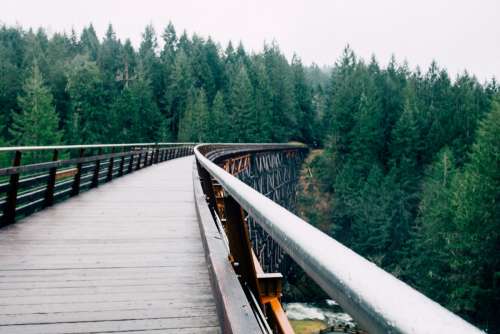 Bridge to the Nature