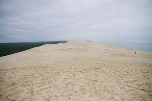 Pila Dune