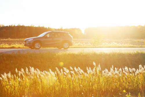 Sunny Road Trip